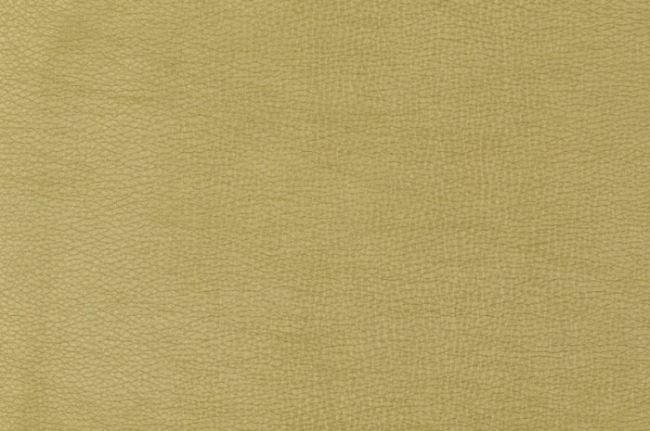 Koženka s leskem ve zlaté barvě 129.470/0100