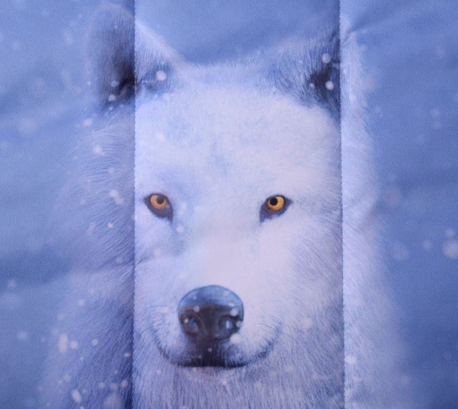 Prošev v modré barvě s digitálním potiskem vlka a sněhových vloček PL-NL-401