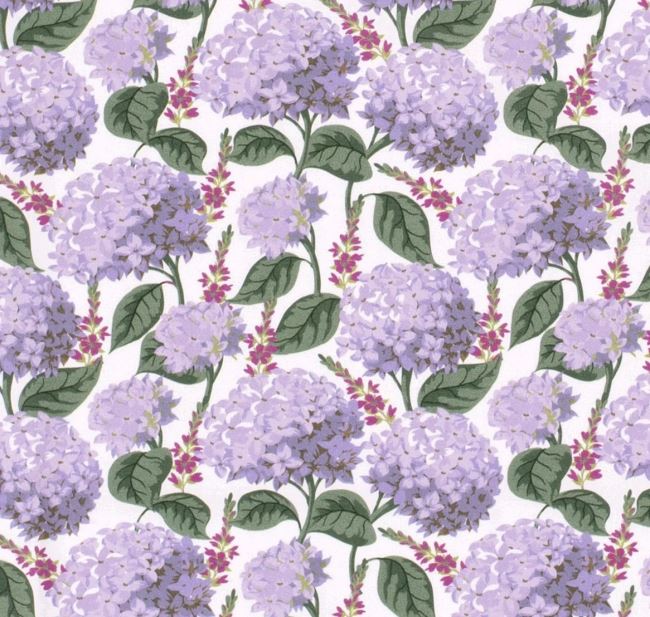 Popelín v bílé barvě s potiskem fialových květů hortenzie 19748/050