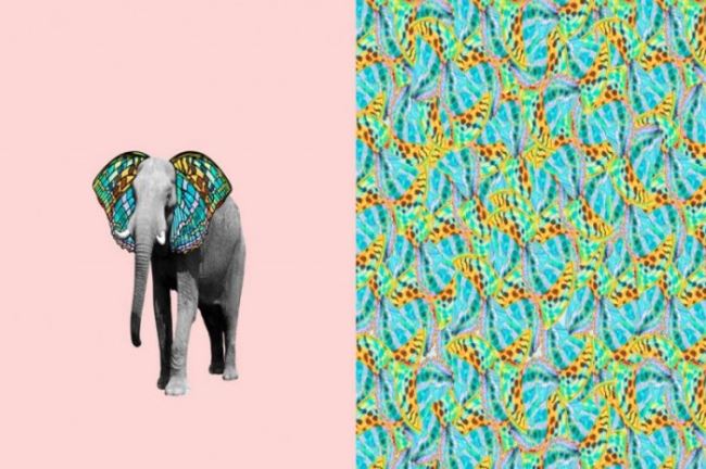 Bavlněný úplet ve starorůžové barvě s digitálním potiskem slona 130.551/0002