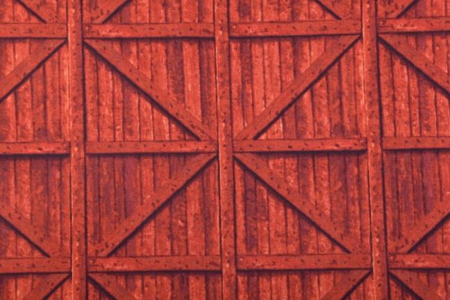 Americká bavlna na patchwork s motivem červeného dřeva 199PYOPM/38