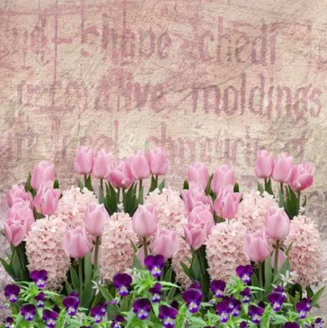 Bavlněný úplet s digitálním vzorem jarních květin 15914