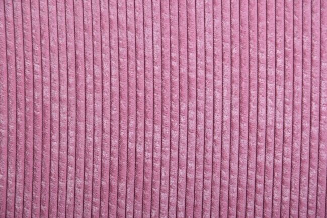 Manšestr v růžové barvě 201589/5016