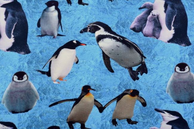 Bavlněný úplet s digitálním potiskem tučňáků 61061
