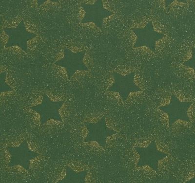 Vánoční látka z bavlny v zelené barvě s potiskem hvězd 20706/025