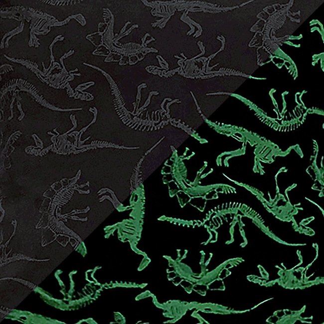 Softshell v černé barvě s fosforeskujícím potiskem dinosaurů 13554/069