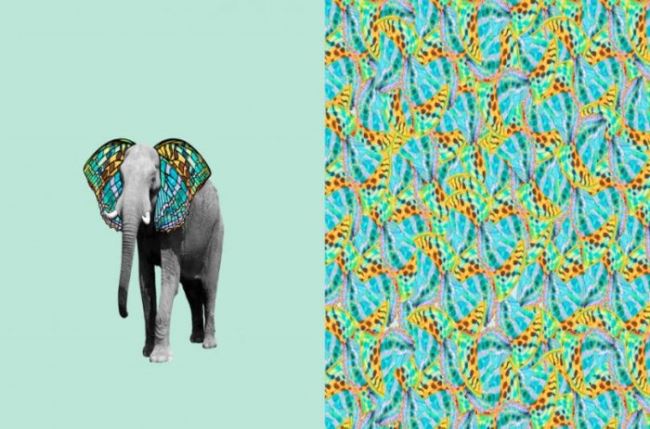 Bavlněný úplet v mentolové barvě s digitálním potiskem slona 130.551/0001