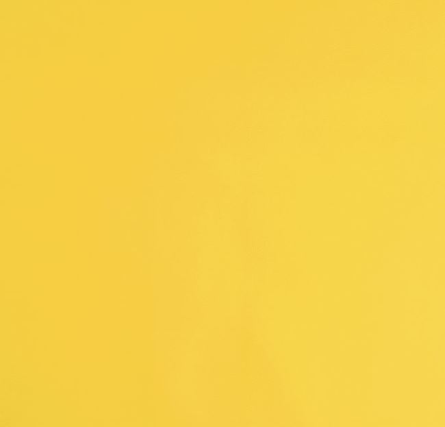 Koženka ve světle žluté barvě 11350/035