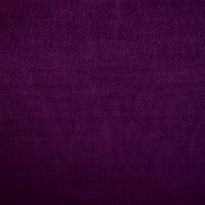 Pružný bavlněný samet ve fialové barvě MOR0193