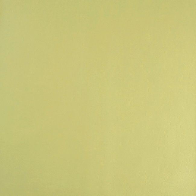 Koženka v zelené barvě 11350/123
