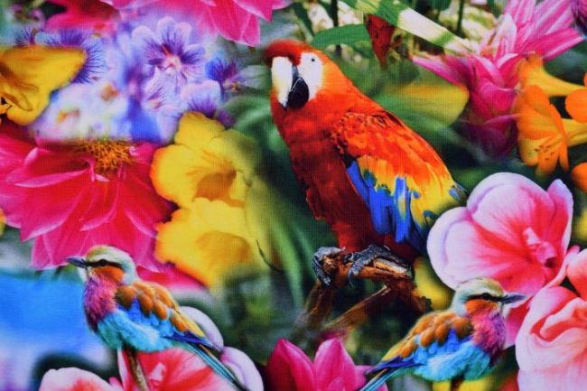 Bavlněný digitální úplet s potiskem papoušků a tropických květin KC7502-157